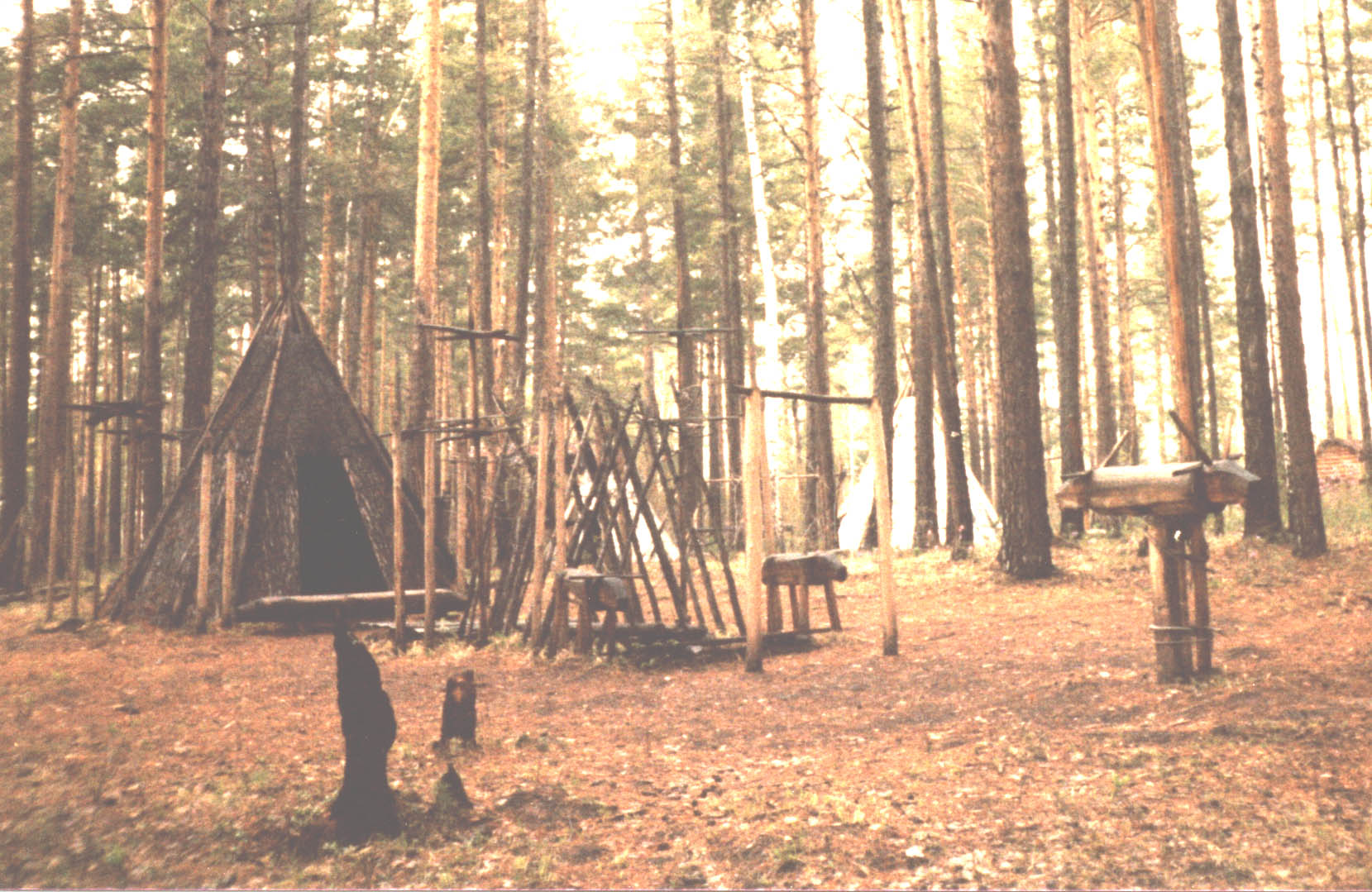 shaman's tent in Evenk zone photo copyright of Heather Hobden